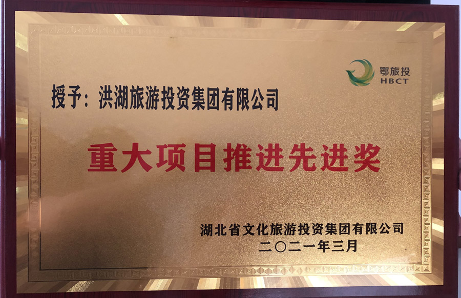 重大項(xiàng)目推進(jìn)先進(jìn)獎2021