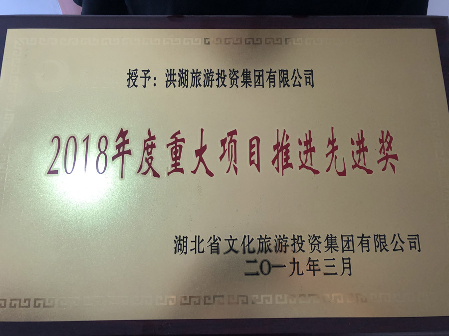 2018年度重大項(xiàng)目推進(jìn)先進(jìn)獎
